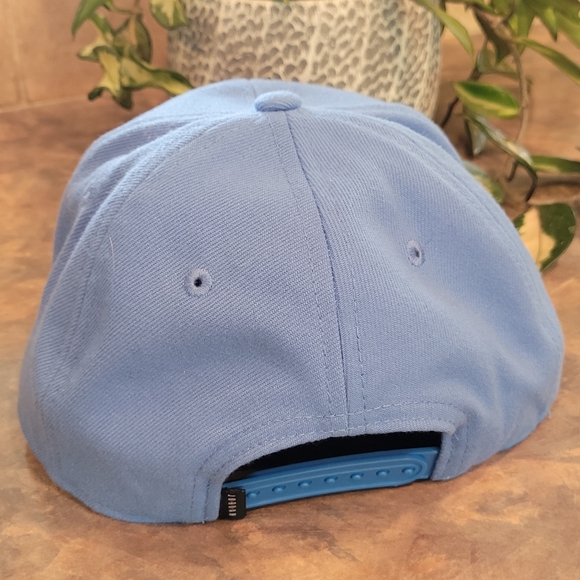 JORDAN JUMPMAN Snapback Hat, Powder Blue with Pink Embroidered Logo - Picture 4 of 7